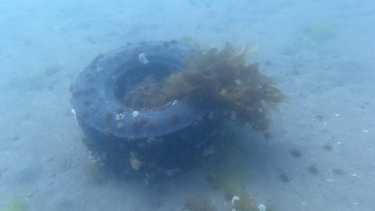 Prácticas en la Naturaleza: Estudiantes de LAAN en acción